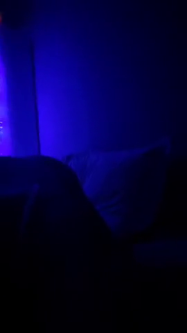 les dinguerie de periscope